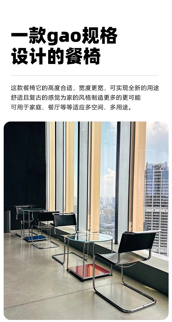 S33 悬臂椅 (☎+VX:19866192975)