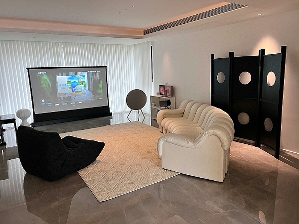 DS-600 SOFA 蛇形沙发