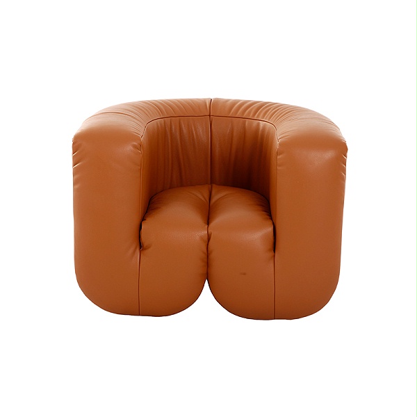 leather-armchair-armchair-DS-707-1