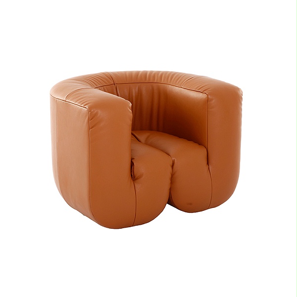 leather-armchair-armchair-DS-707-2